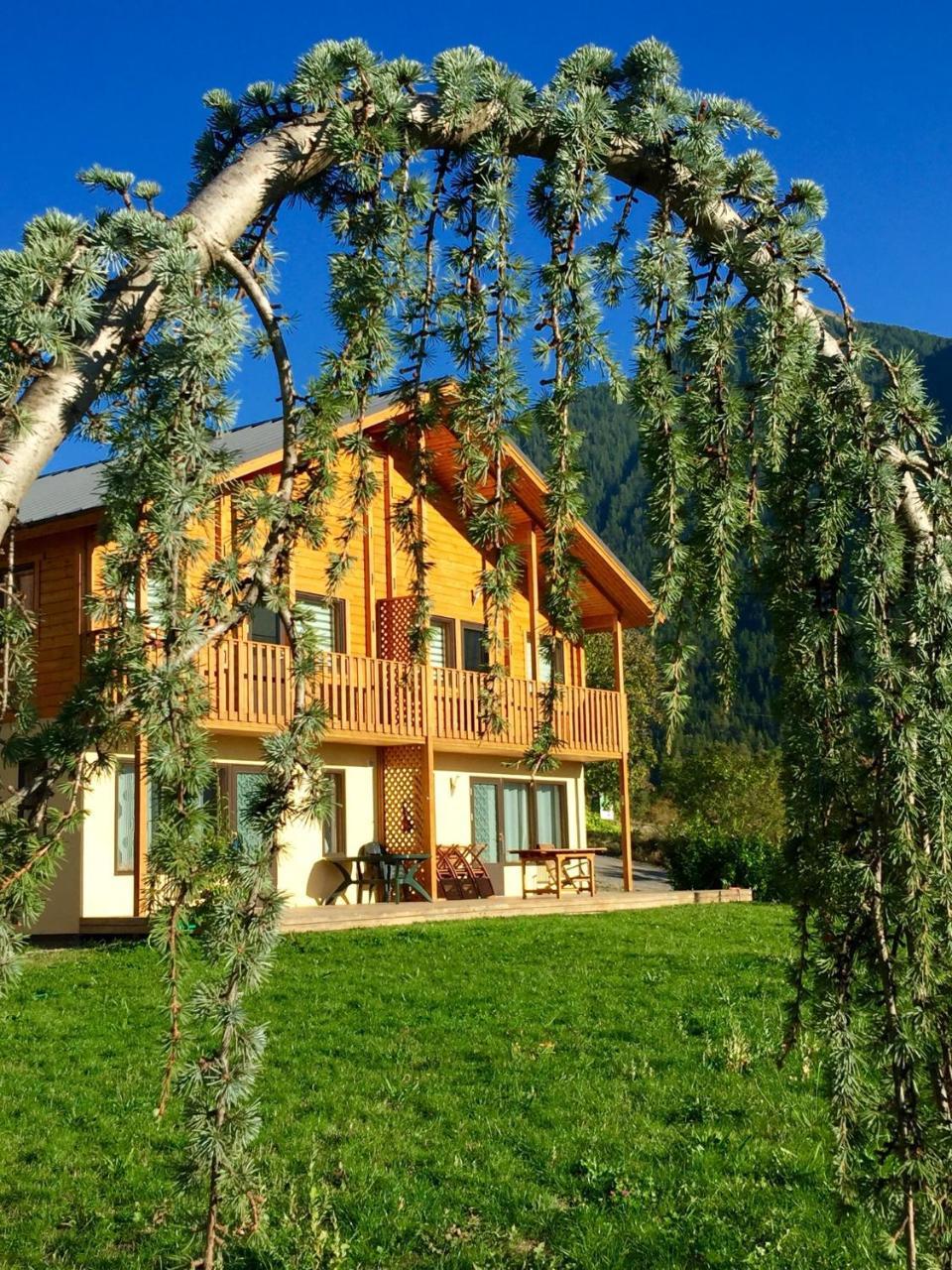 Les Chalets Fleurs De France - Kota Saint-Dalmas Exterior foto