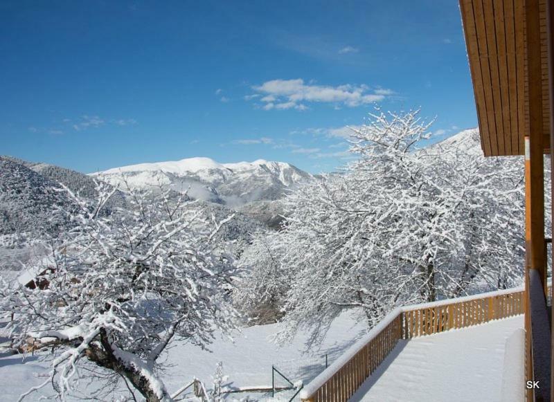 Les Chalets Fleurs De France - Kota Saint-Dalmas Exterior foto
